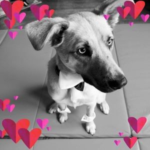 Meet your Posher, Genevieve